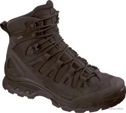 Chaussures Salomon Forces Quest 4D GTX Marron